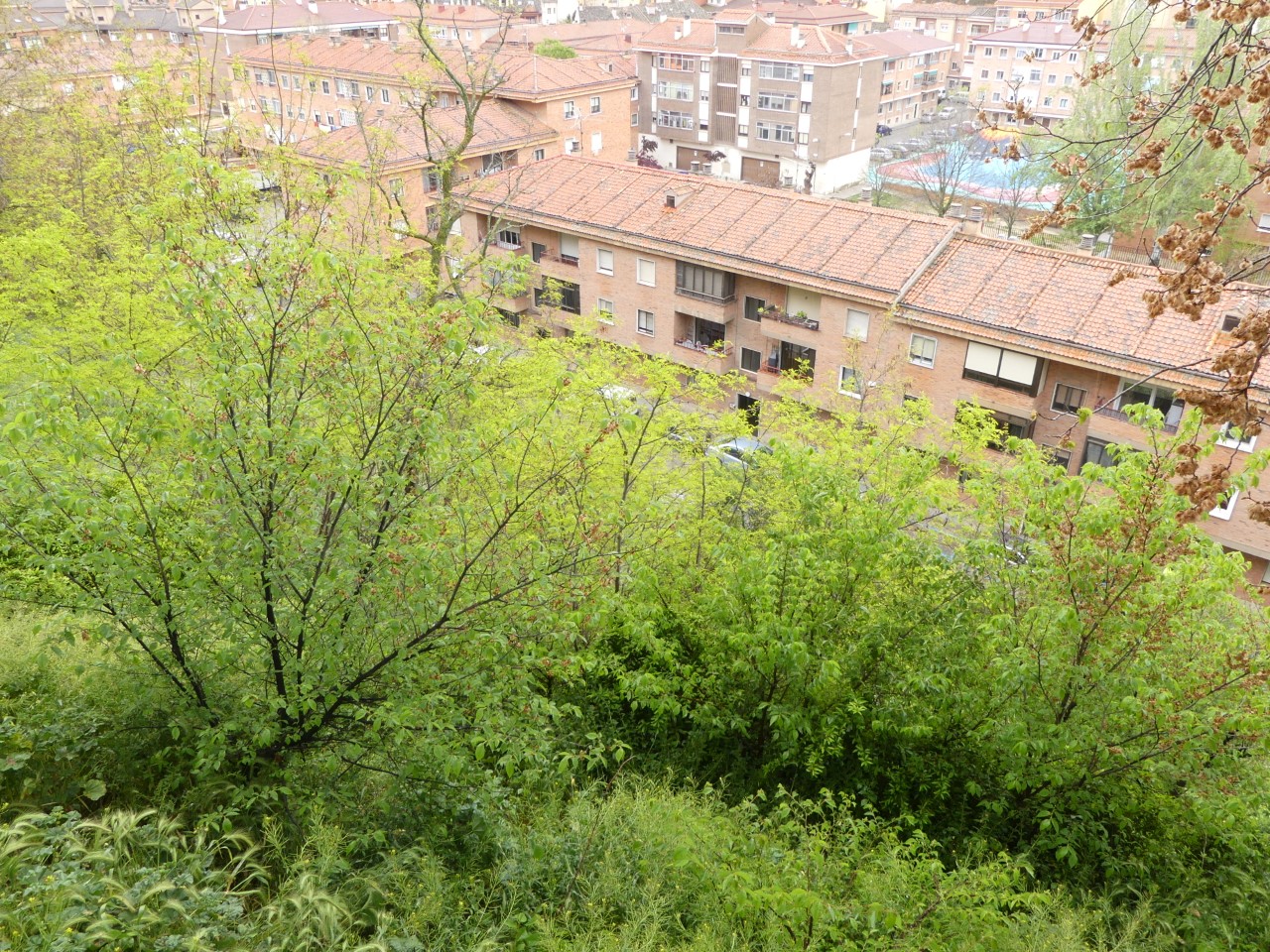 Ascensor de San Millán