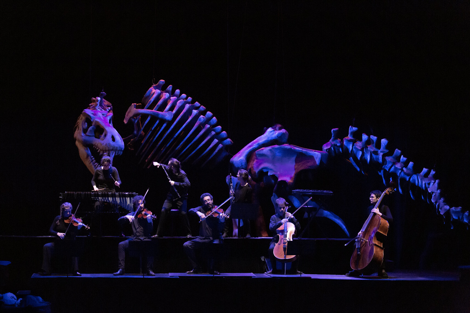 2022-07-18 Soñando el carnaval de los animales