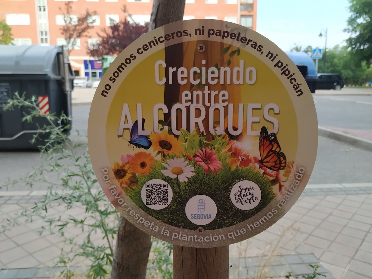2022-07-23 Creciendo entre alcorques 