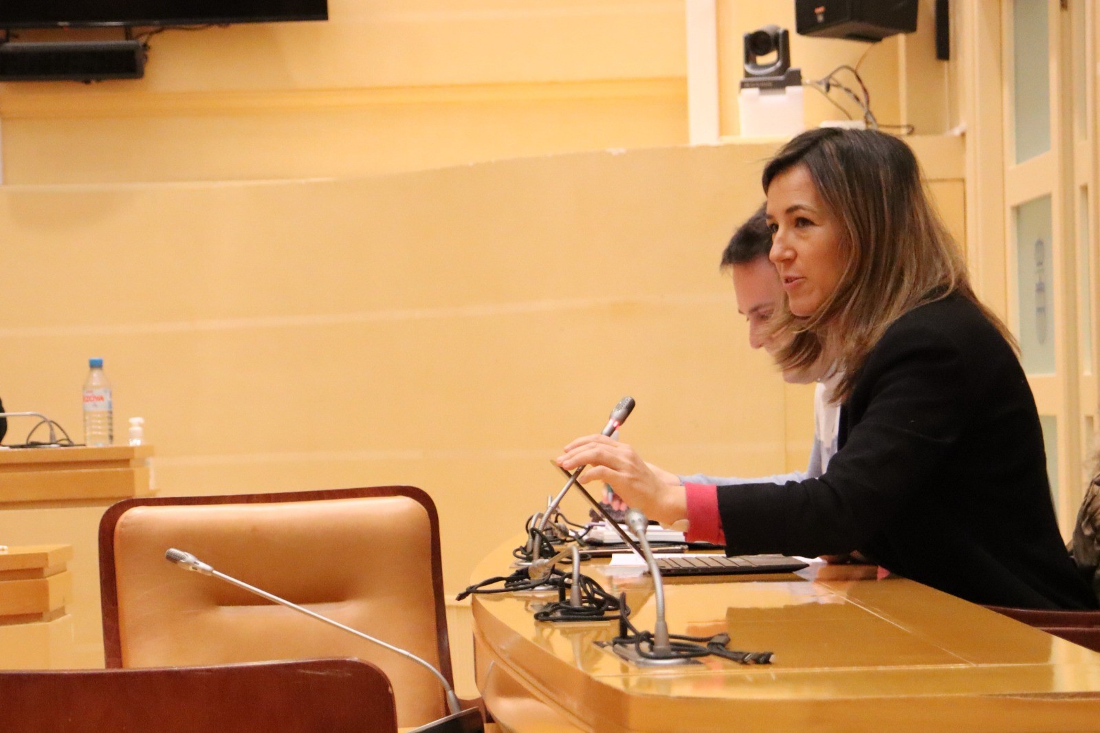 La concejala Ana Peñalosa en el Consejo Sectorial de Igualdad