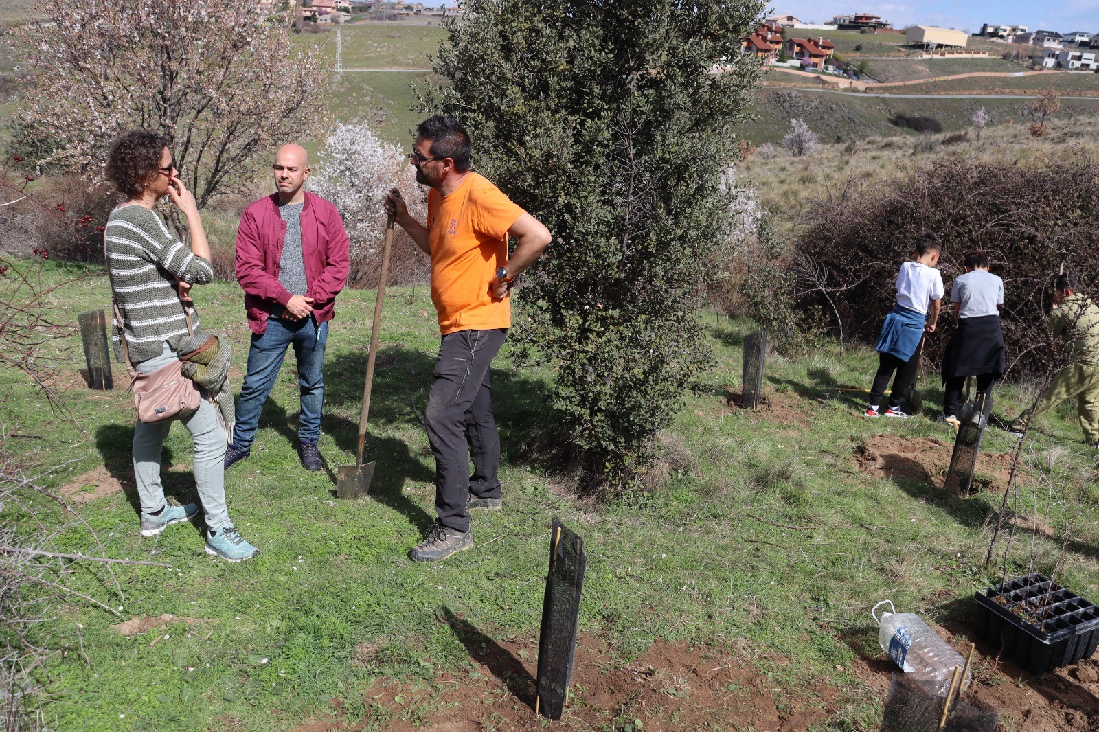 Plantación colectiva en el Día Mundial del Árbol