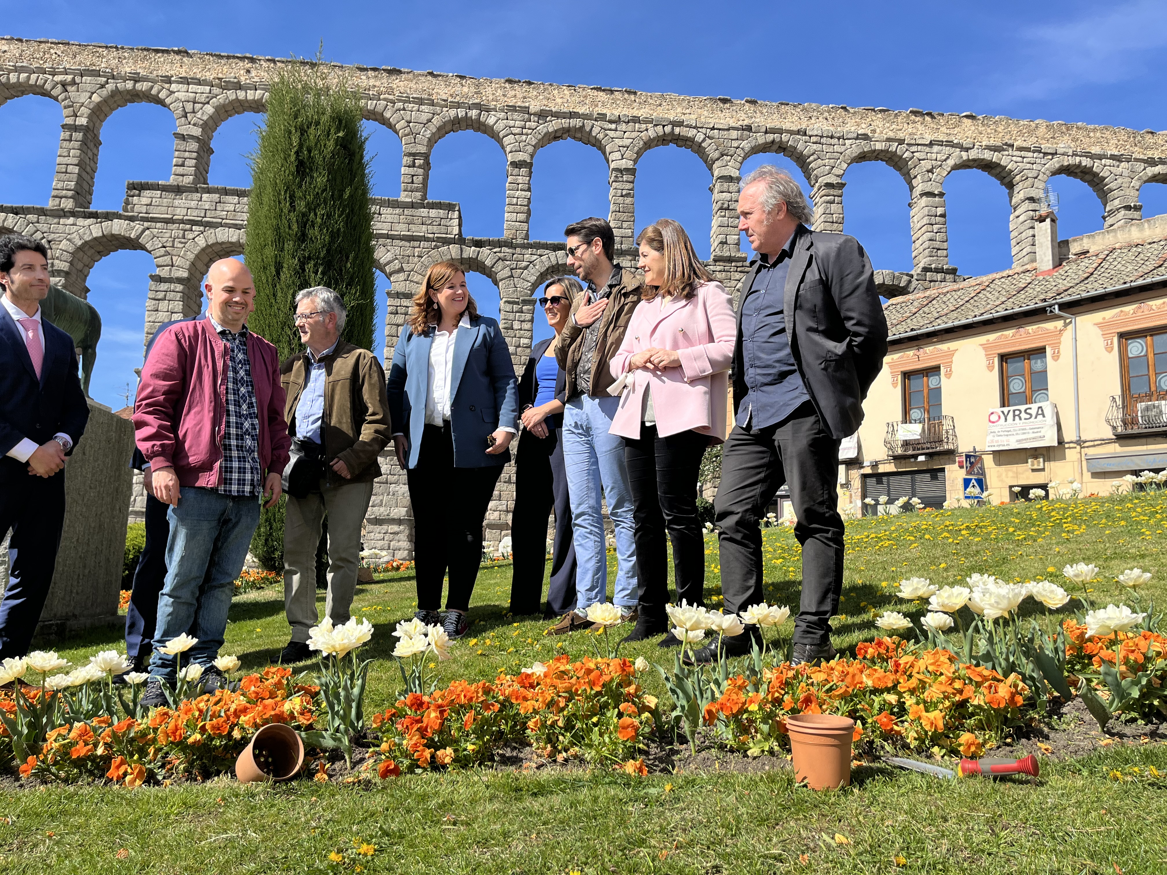 Plantación de  tulipanes