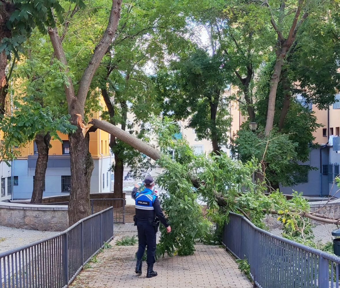 El viento de la borrasca Kirk provoca incidentes sin daños a personas en las calles de Segovia