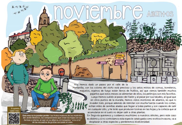 Ailanto, el protagonista del calendario medioambiental municipal este mes