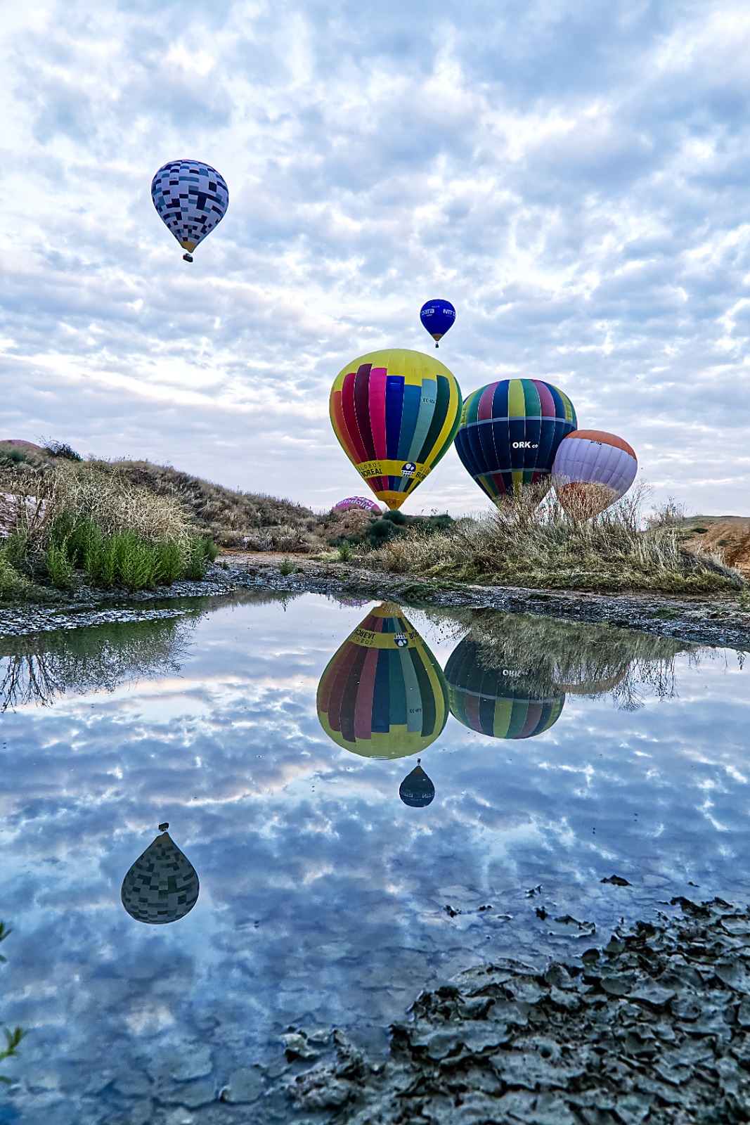 Foto ganadora concurso Festival de Globos Como dos gotas de agua