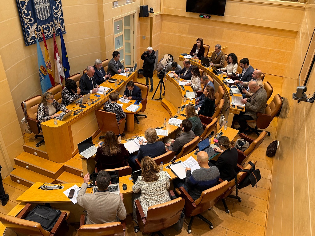 Pleno enero 2025