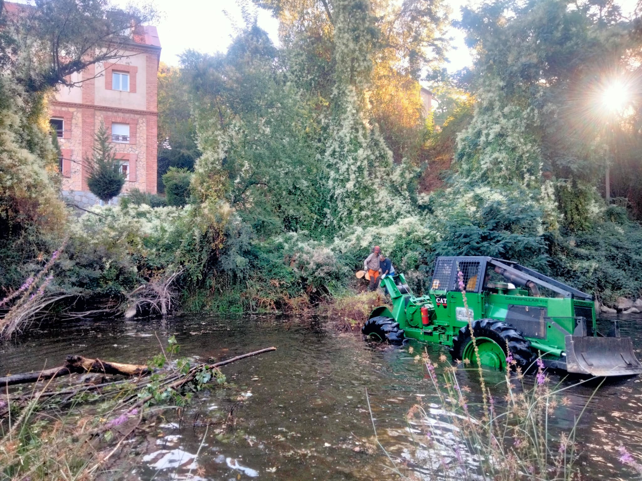 Trabajos retirada arbolado del cauce del Eresma