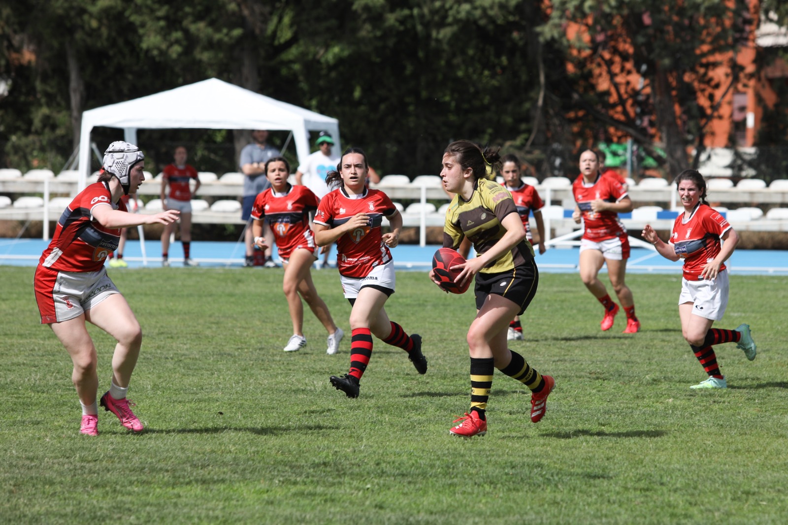 Torneo de rugby