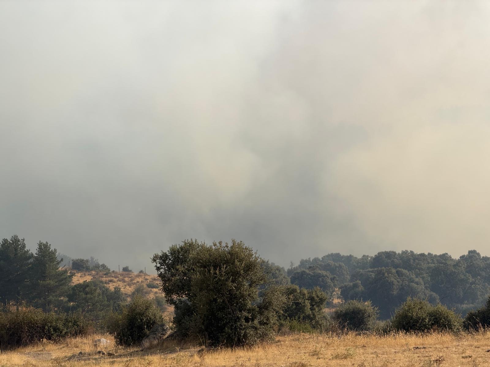 Incendio de Revenga