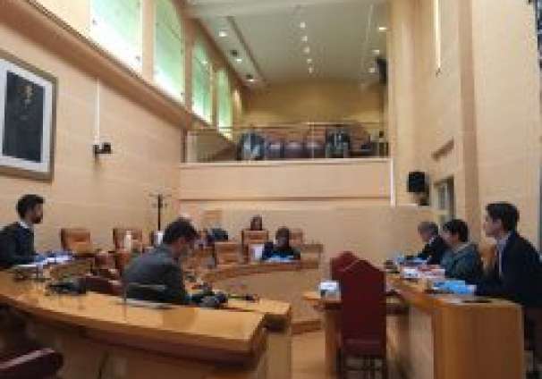 2020-03-27 Pleno marzo 04