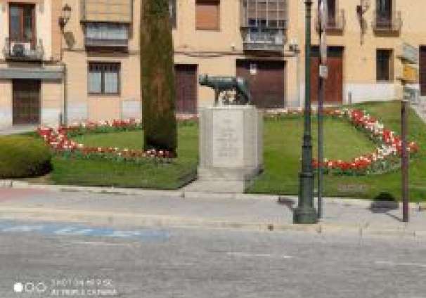 Tulipanes 1