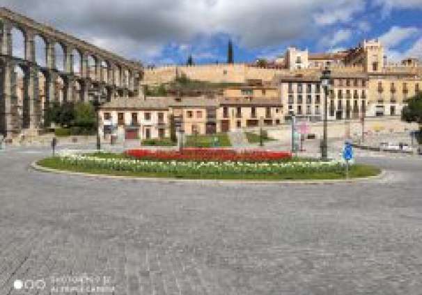 Tulipanes 3