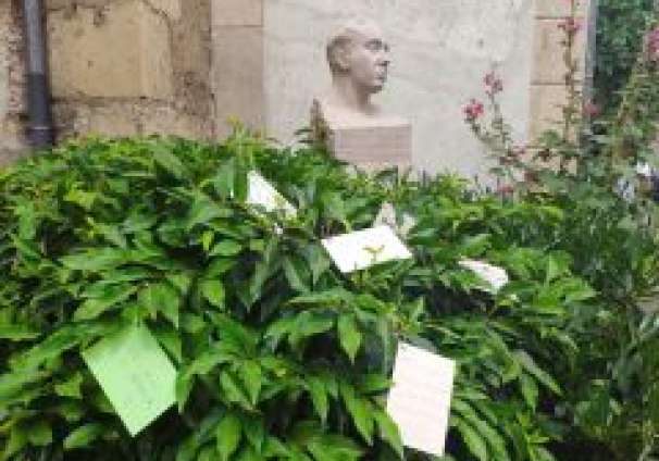 2020-05-11 Casa museo Antonio Machado