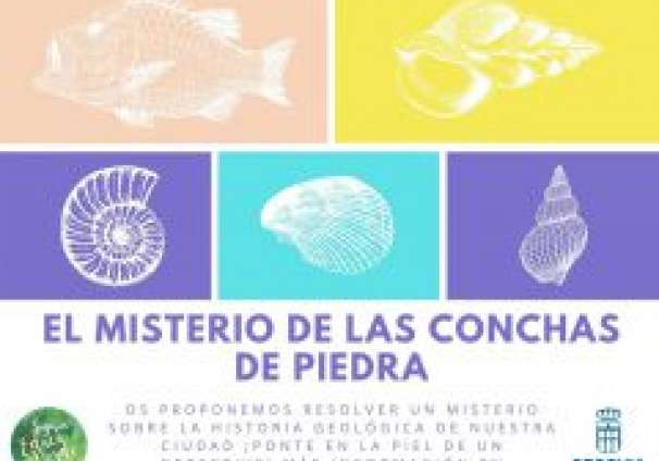 Conchas