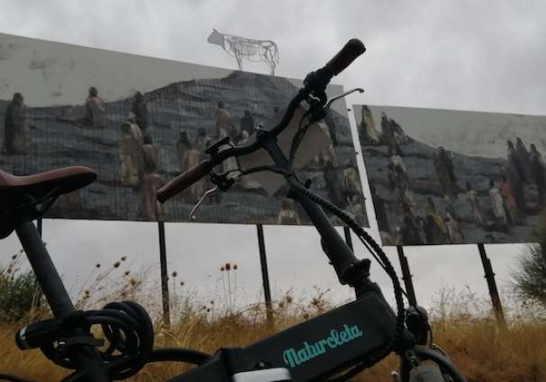 INSURRECTA_BICIS