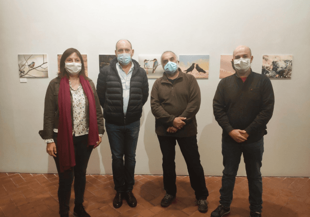 2020-10-21-Exposición-aves-1