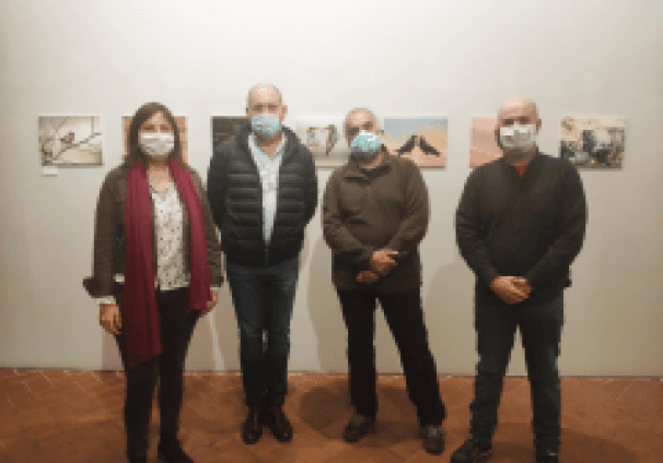 2020-10-21 Exposición aves
