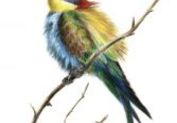-11-06 CARTEL EXPO flora y fauna