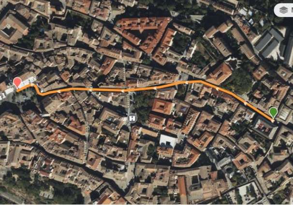 San Silvestre 2024 Sub 8