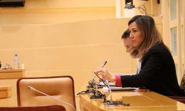 La concejala Ana Peñalosa en el Consejo Sectorial de Igualdad