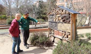 Visita al hotel de insectos del concejal de medio ambiente