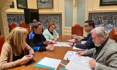 Reunión Plataforma Usuarios AVE