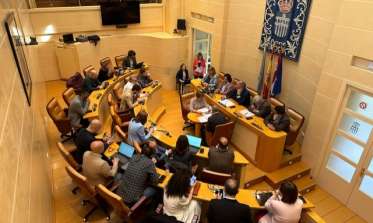 Pleno elecciones europeas