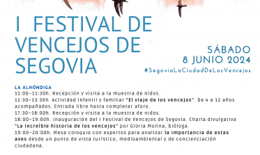 Cartel I Festival de Vencejos