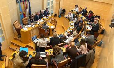 Pleno noviembre 2024