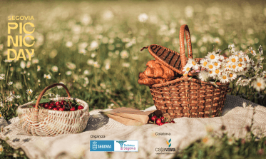 Concurso picnic day