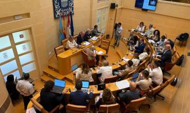 Pleno mayo 2025
