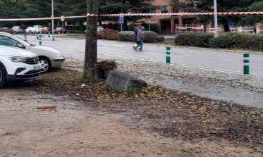 zona de biodiversidad en la avenida Gerardo Diego