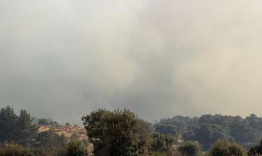 Incendio de Revenga