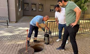 El Ayuntamiento refuerza el control de plagas