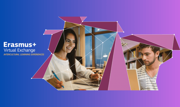 Erasmus Virtual Exchange