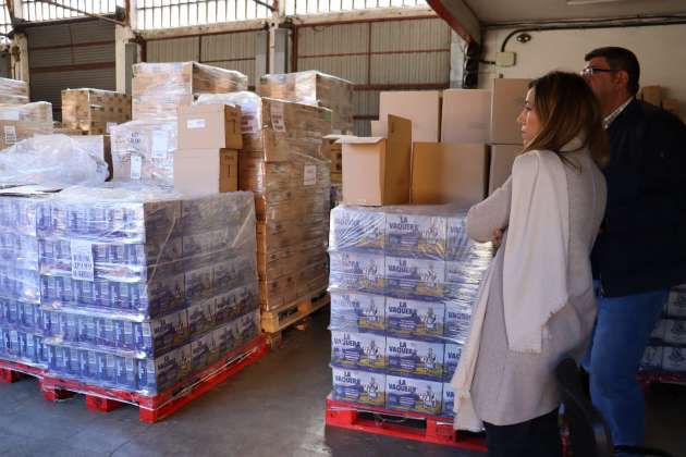Concejala Ana Peñalosa alimentos fead 