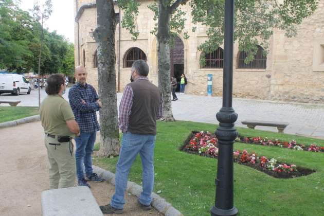 Concejal Ángel Galindo supervisando plantación