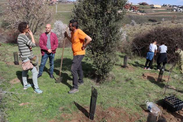 Plantación colectiva en el Día Mundial del Árbol