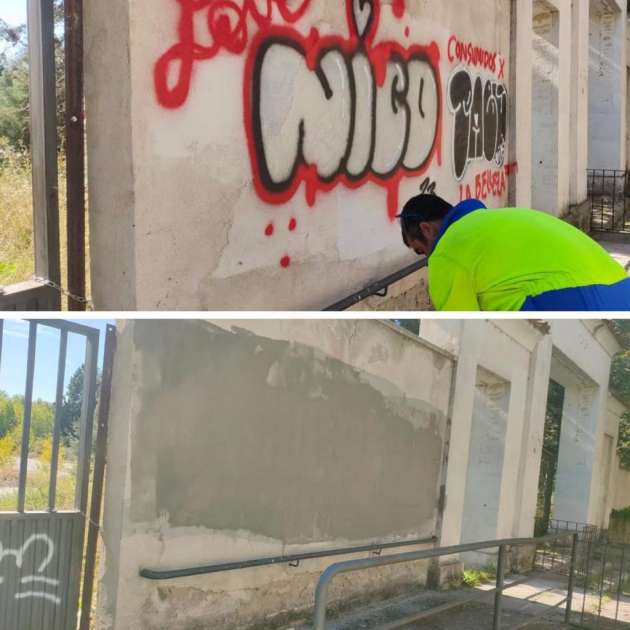 Limpieza pintadas