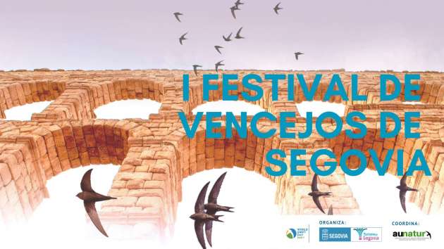 Cartel I Festival de Vencejos de Segovia 