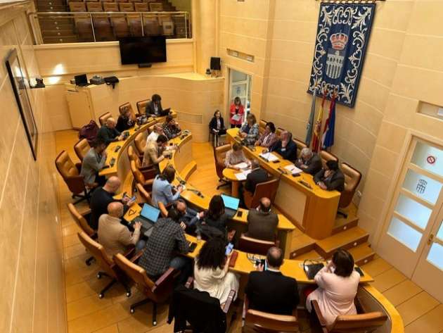 Pleno elecciones europeas