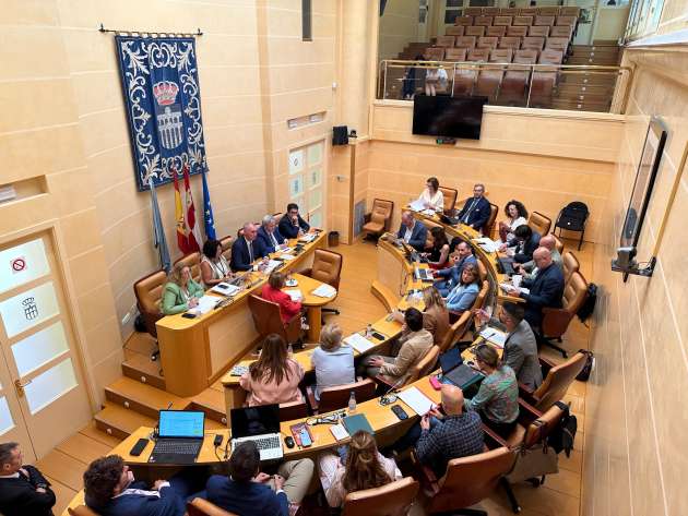Pleno mayo 24