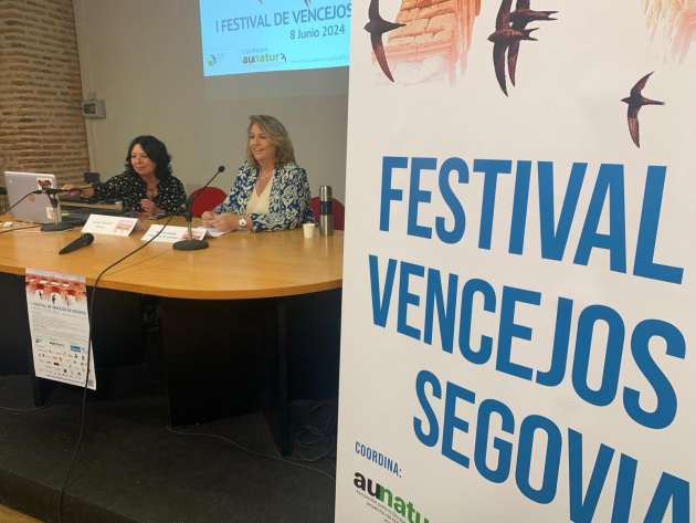 I Festival de Vencejos de la Ciudad de Segovia