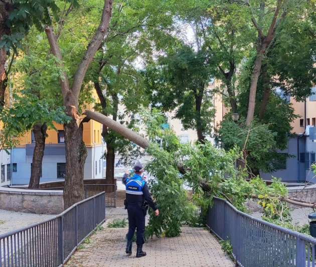 El viento de la borrasca Kirk provoca incidentes sin daños a personas en las calles de Segovia