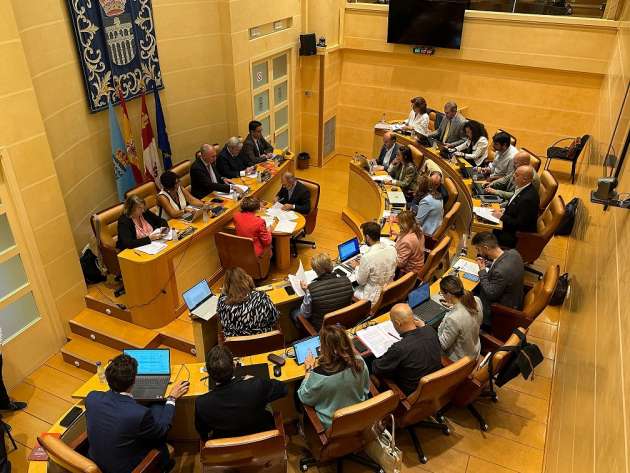 Pleno septiembre 2024
