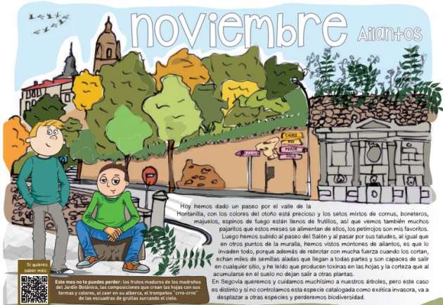 Ailanto, el protagonista del calendario medioambiental municipal este mes