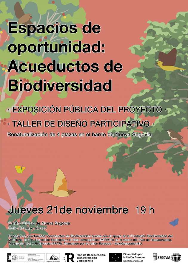 Reunión para explicar la renaturalización de plazas en Nueva Segovia