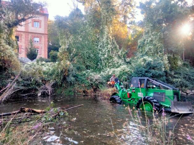 Trabajos retirada arbolado del cauce del Eresma