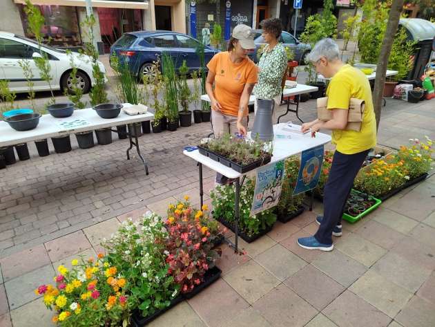 Parking_Day2025
